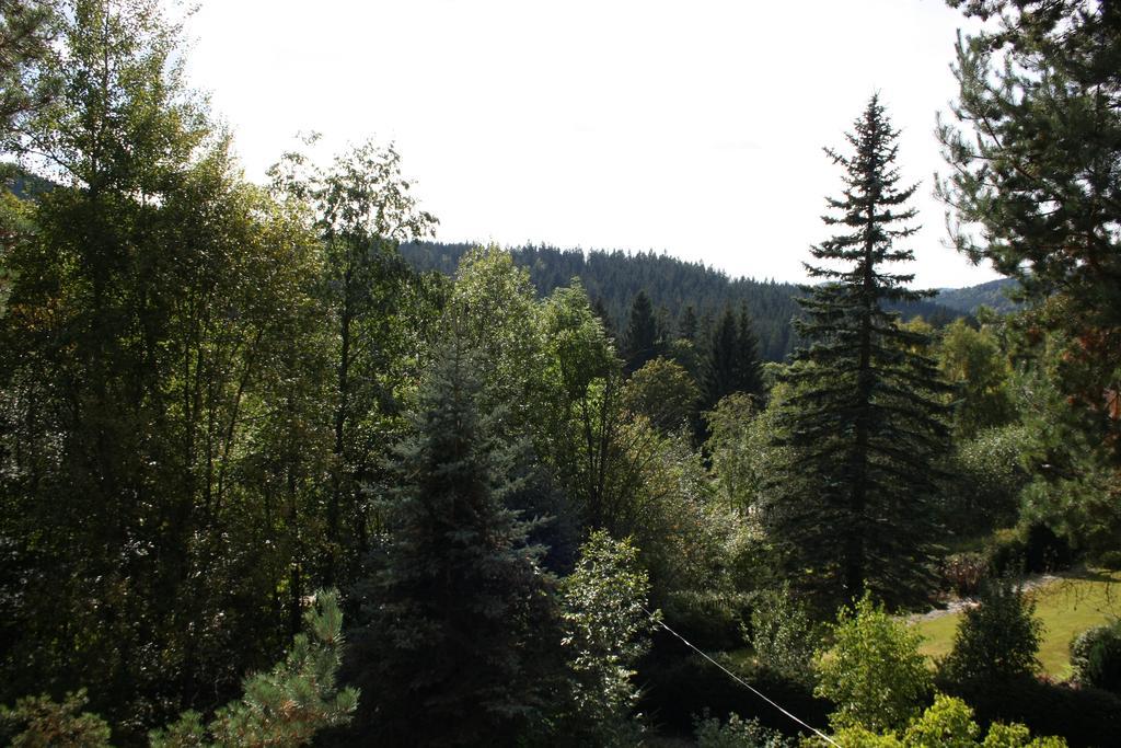 Konvalinka - Ubytovani V Soukromi Harrachov Dış mekan fotoğraf